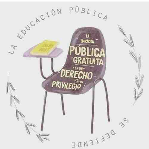 Educacion pública gratuita y de calidad | Seba Furman en #FuriaBebé episode artwork