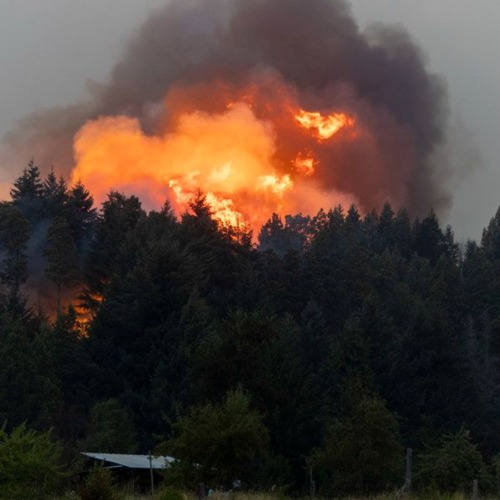 Incendios en el Bolsón: allanamientos a mapuches. Entrevista a Gioia Claro | #Segurola