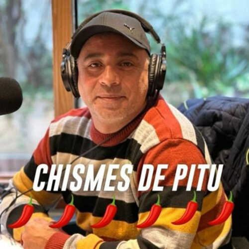 Chismes de Pitu 07-05 | Pitu Salvatierra #Segurola episode artwork