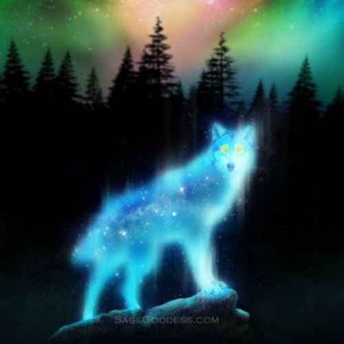 ¿Cuál es tu animal espiritual? Test de Lucas | Lucas Roman en Furia BB episode artwork